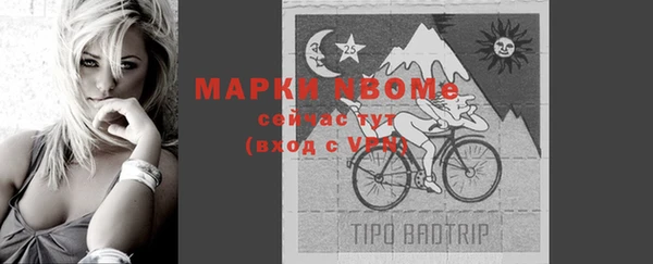 шишки Осташков